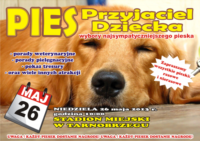 pies przyjaciel dziecka 2013